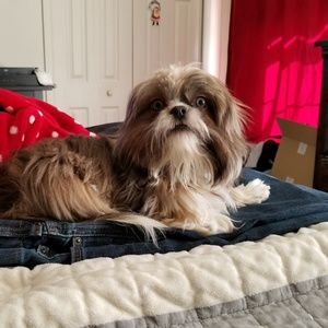 Meet your Posher, Regina